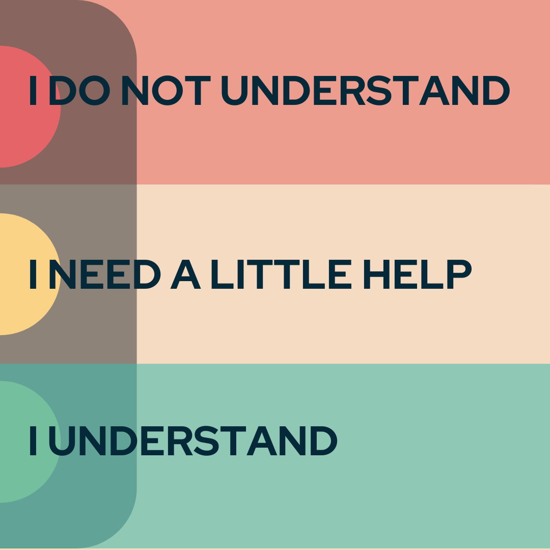 Self Assessment Traffic Light Starter And Plenary | Teaching Resources